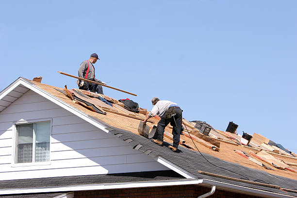 Best Metal Roofing Installation  in Driggs, ID