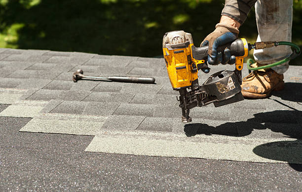Best Roof Moss and Algae Removal  in Driggs, ID