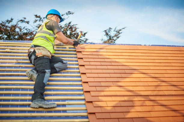 Best Roof Moss and Algae Removal  in Driggs, ID